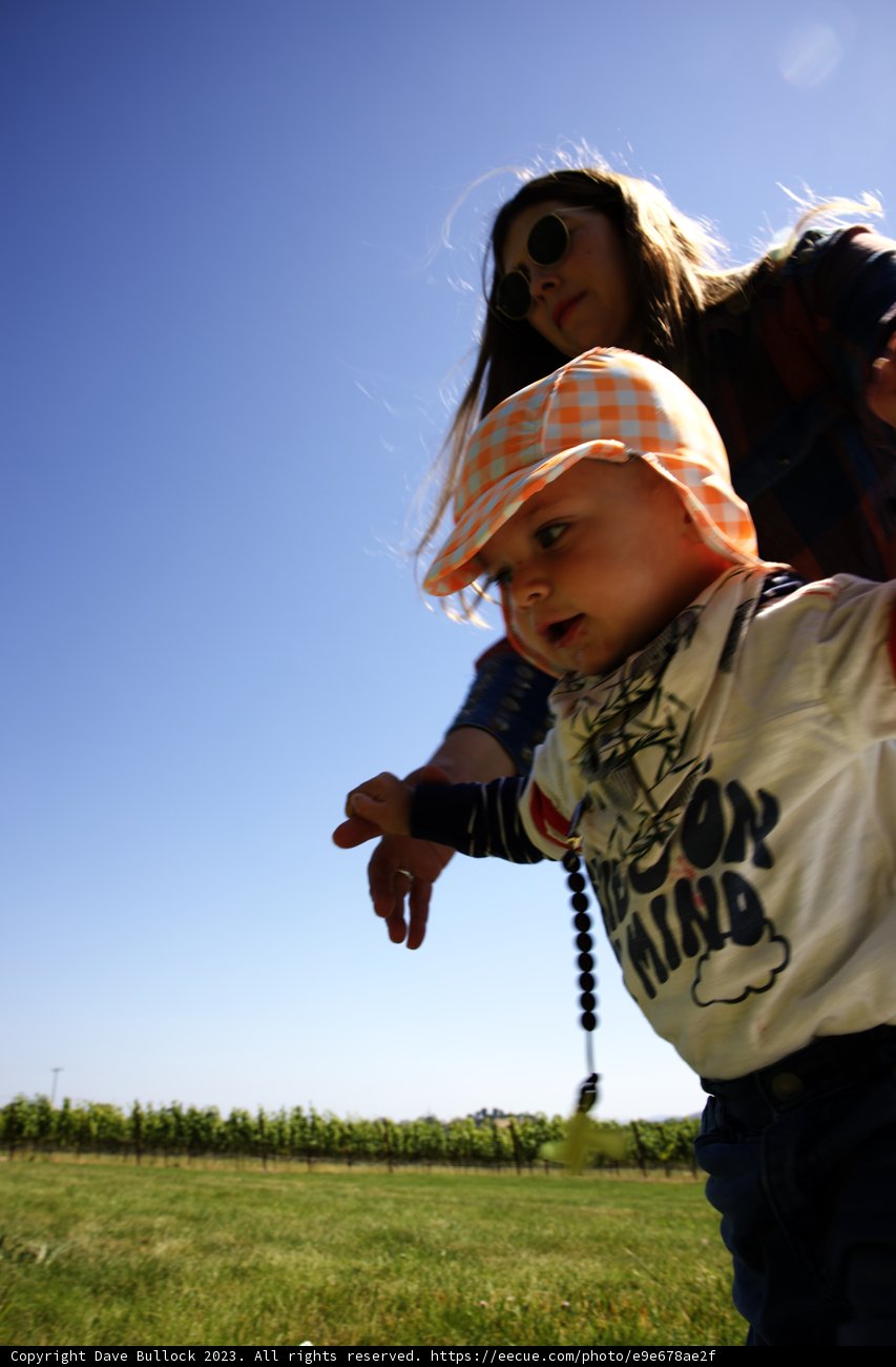Soaring High: Family Fun at the Park