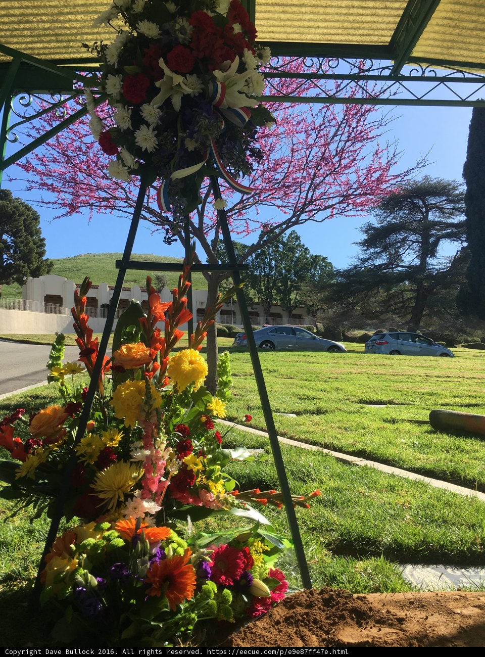 Flower Arrangement Under a Green Canopy