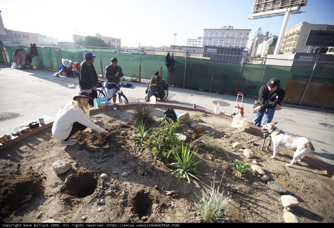 Guerilla Gardening with Blue Skies