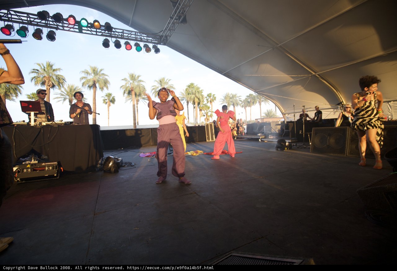 Rhythm in the Palm Trees
