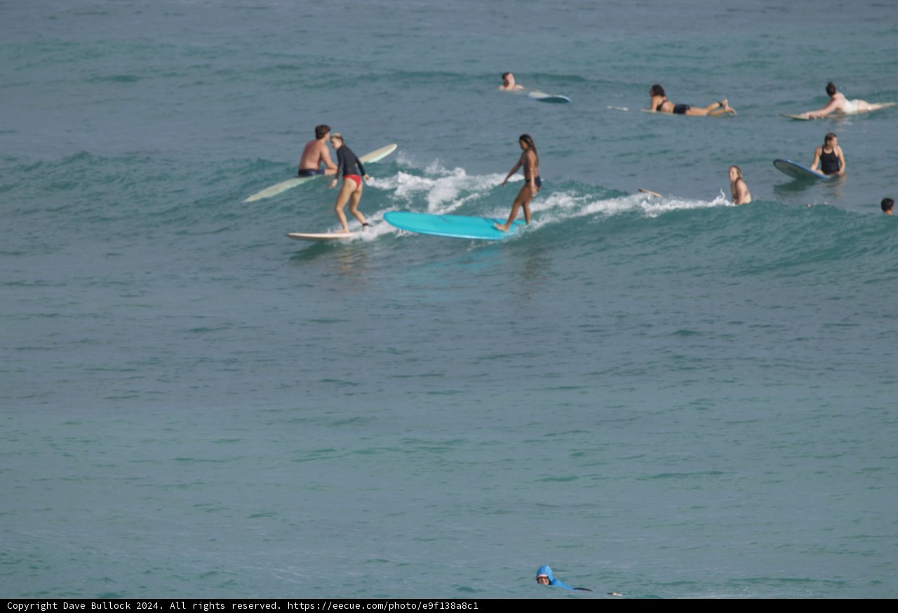 Surf's Up: A Day of Waves and Wipeouts