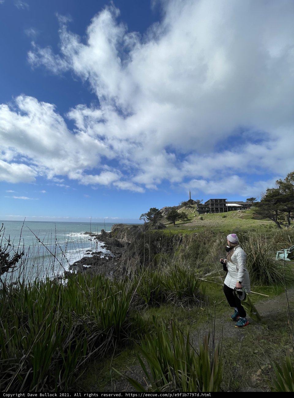 Walking Along the Shoreline