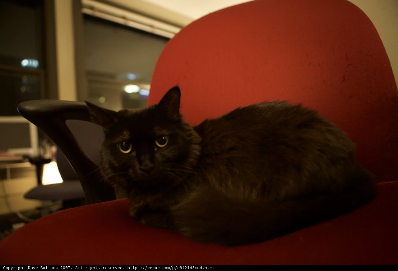 Midnight on the Red Chair