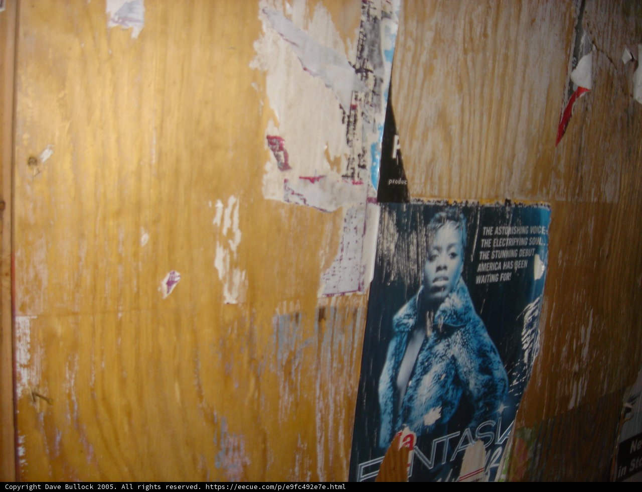 Artistic Collage of Posters and Pictures on Plywood Wall