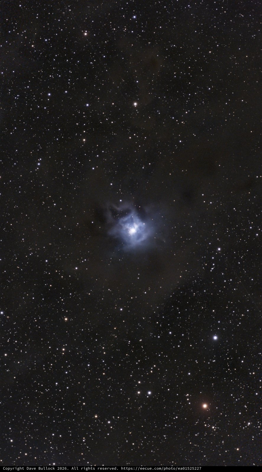 NGC 7023 — The Iris Nebula in Cepheus