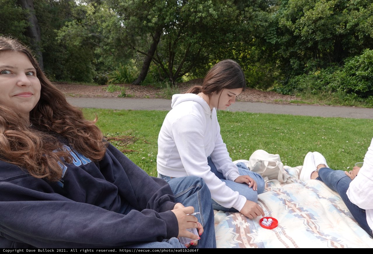 Friends Relaxing on Picnic Blanket in Park