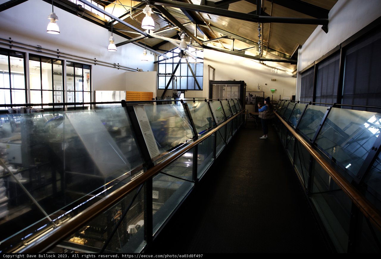 Reflective Stroll along the Glass Pathway