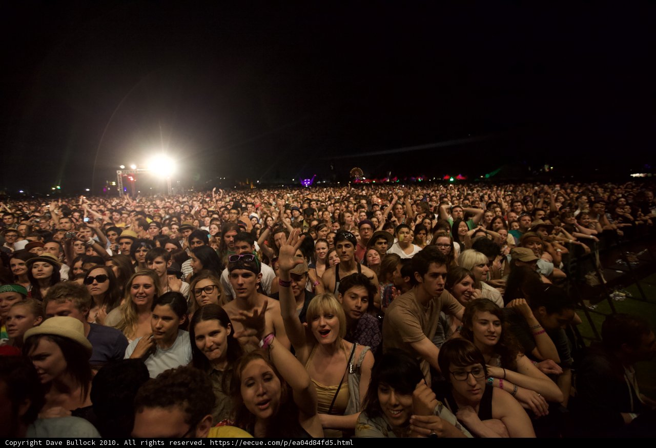 Cochella Nights