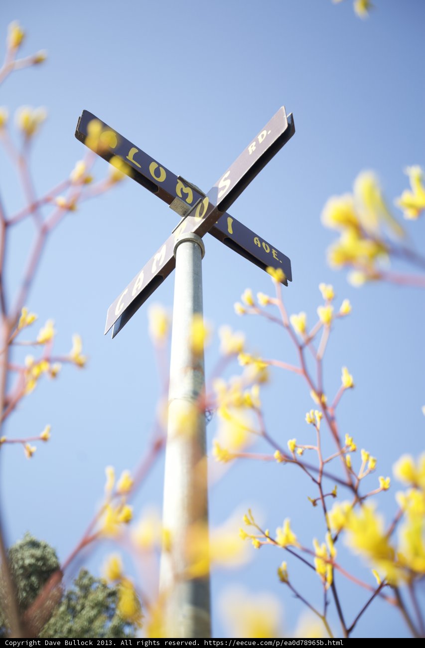 Crossroads of Life