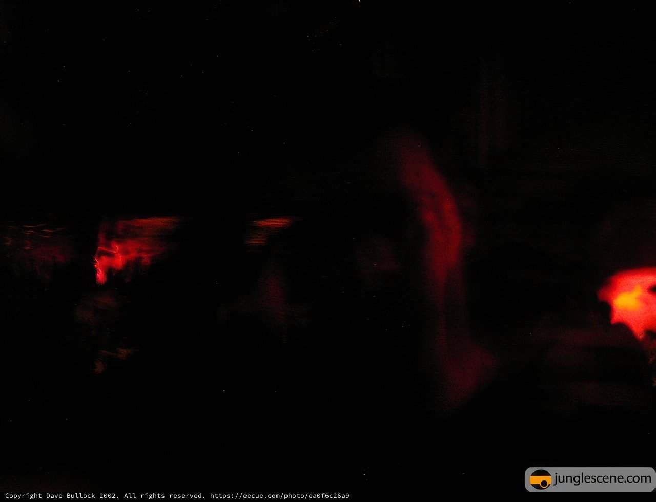 Dancing in the Red Lights