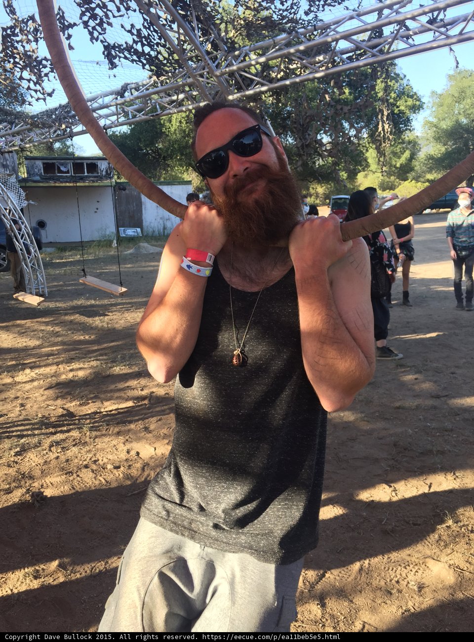 Sunglasses and Horns