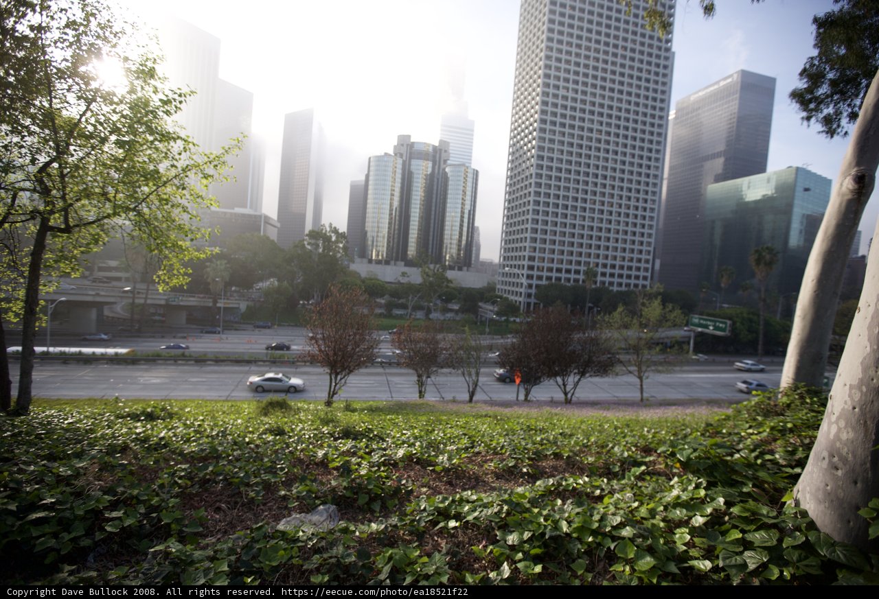 Urban View