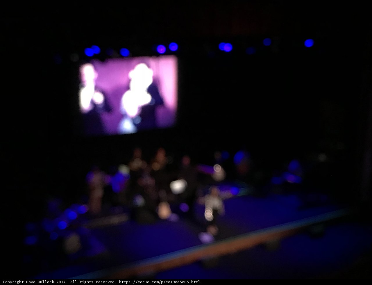 Electrifying Concert Performance