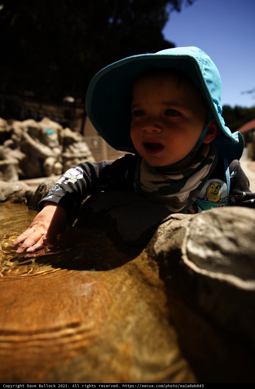 Enchanting Day at the Bay Area Discovery Museum