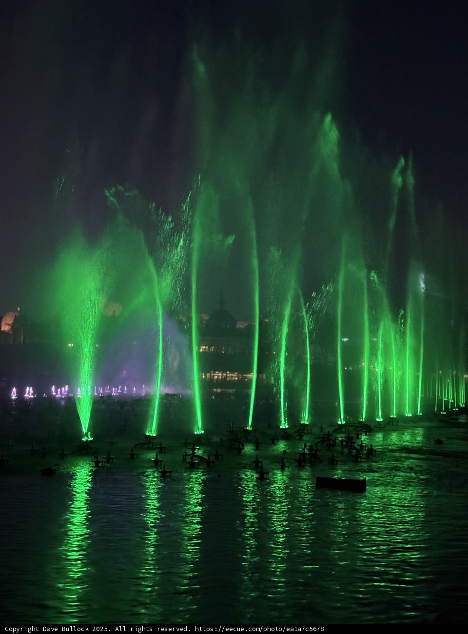 Enchanted Night at Disney California Adventure