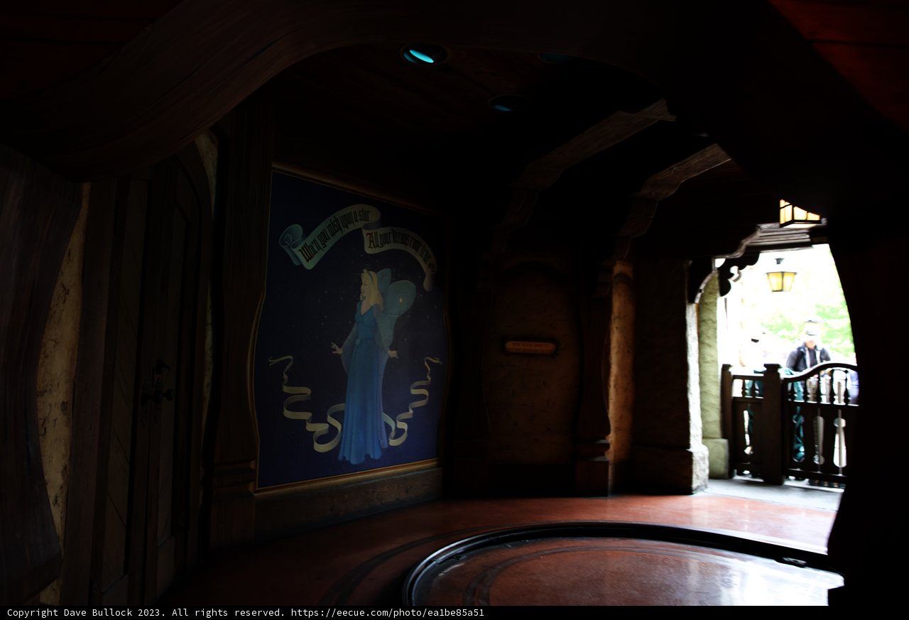 A Magical Adventure Down the Corridor