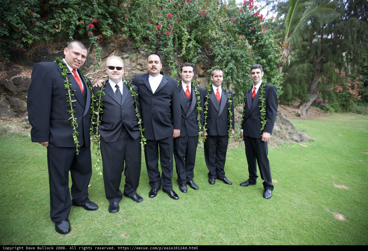 Hawaiian Wedding Party