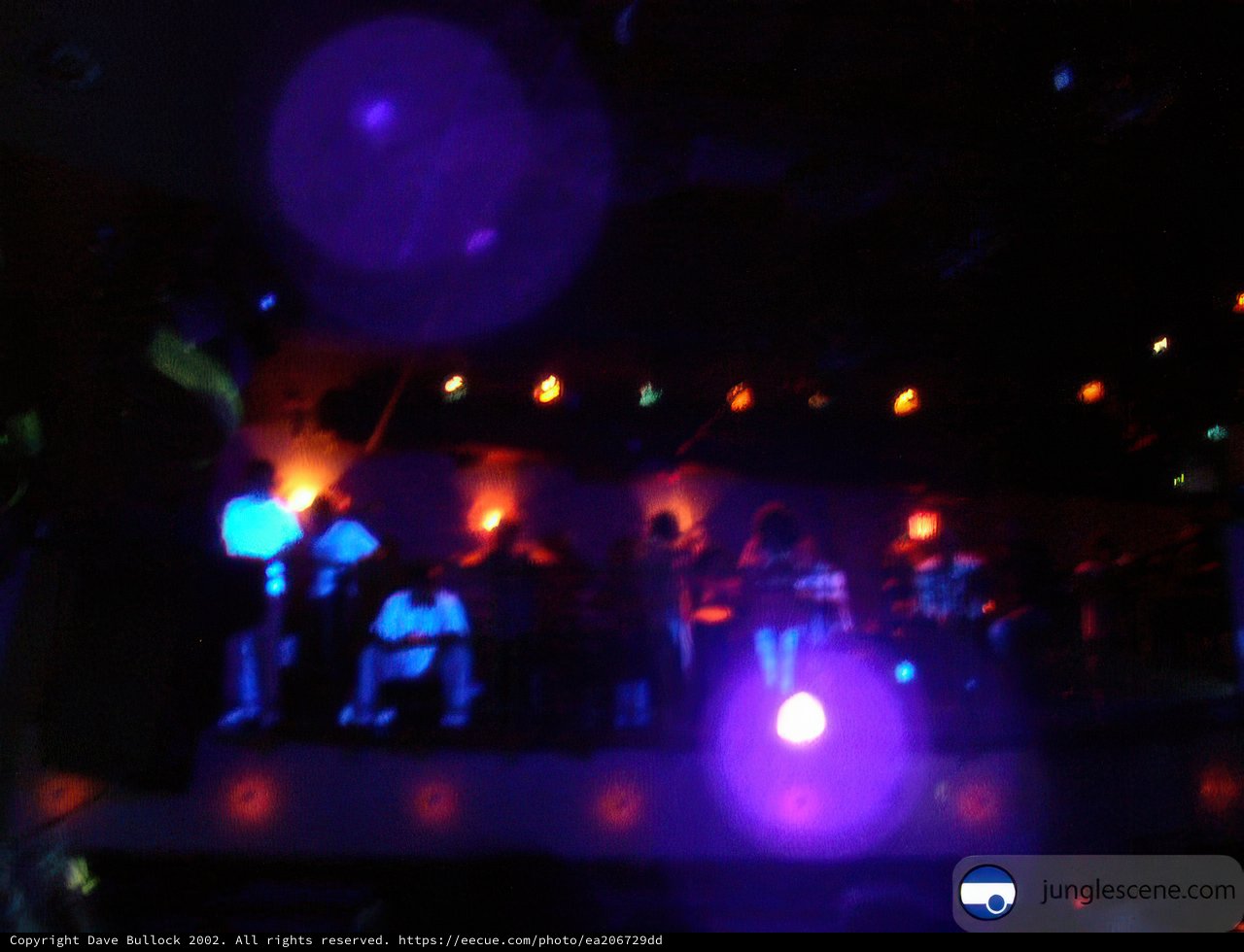 Nightclub Crowd with Vibrant Lighting