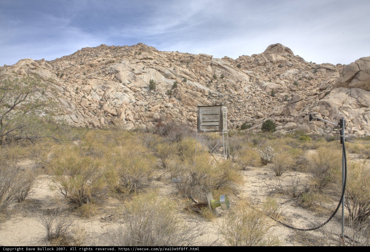 Oasis in the Wilderness