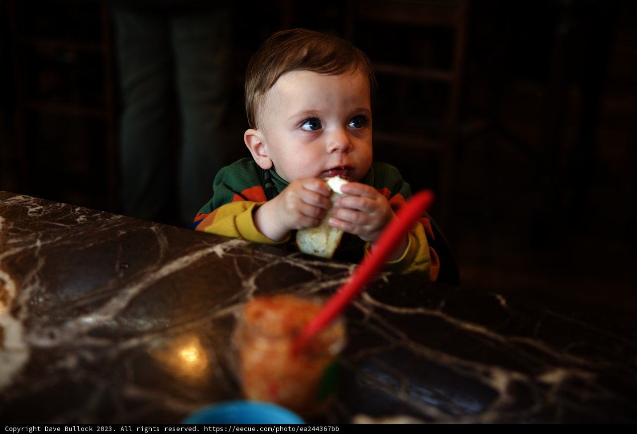 The Joy of Sandwich Time