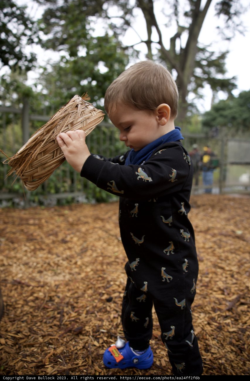 Blissful Boyhood Adventures in Nature