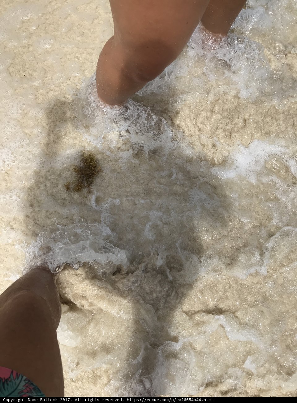 Soaking Up the Sea