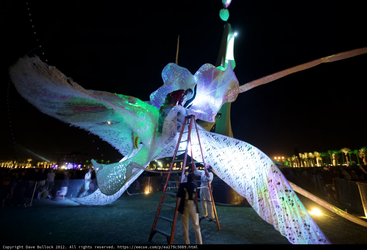 Illuminated Avian Art