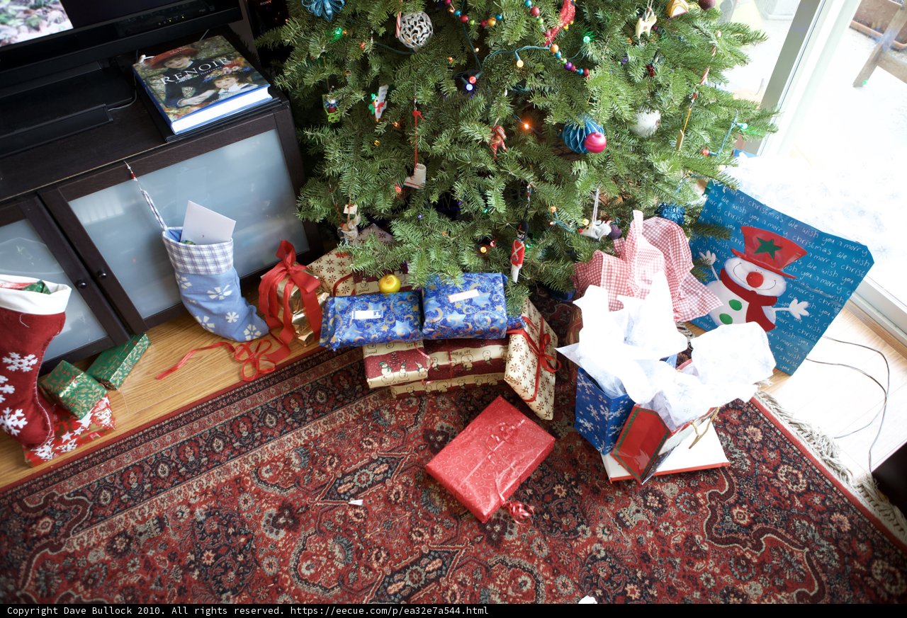 A Festive Fir in the Living Room