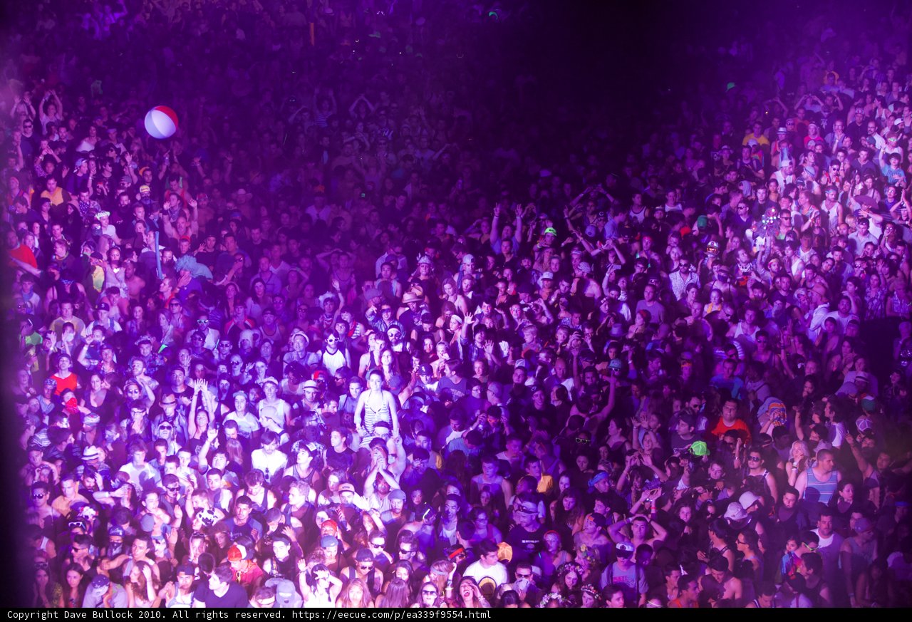 Purple Nightlife Concert Fun