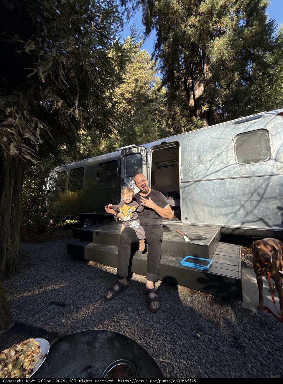 Morning Laughter in the Woods