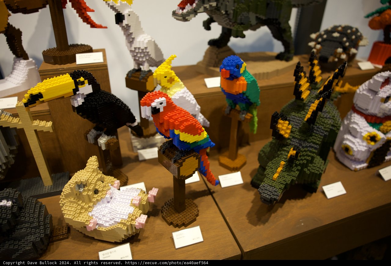 Enchanting Lego Wildlife - Korea, 2024