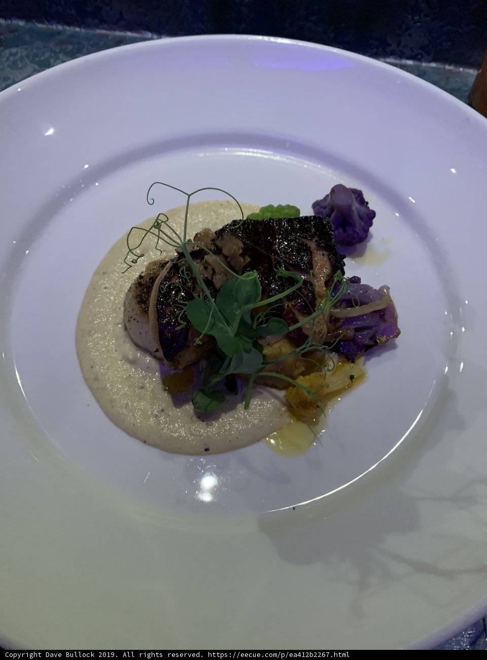 Delicious meal on a white plate