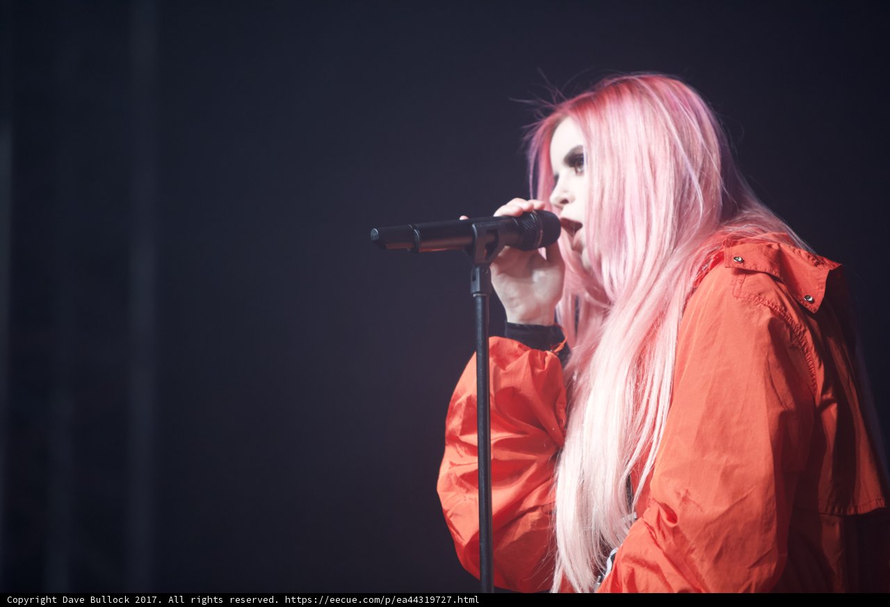 Pink-haired Singer Takes Coachella Stage