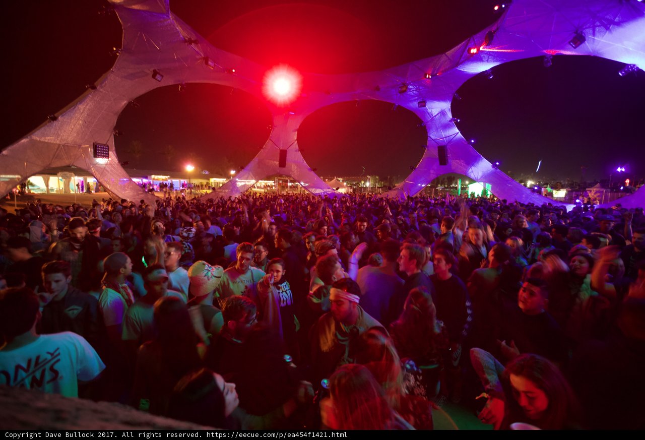 Partygoers under the Night Sky at Coachella Music Festival