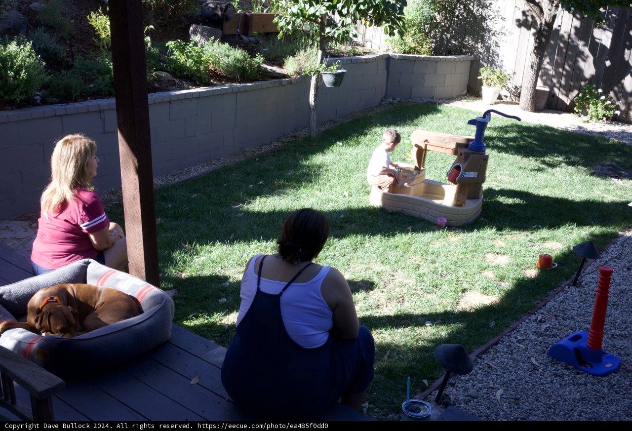 Backyard Summer Playtime