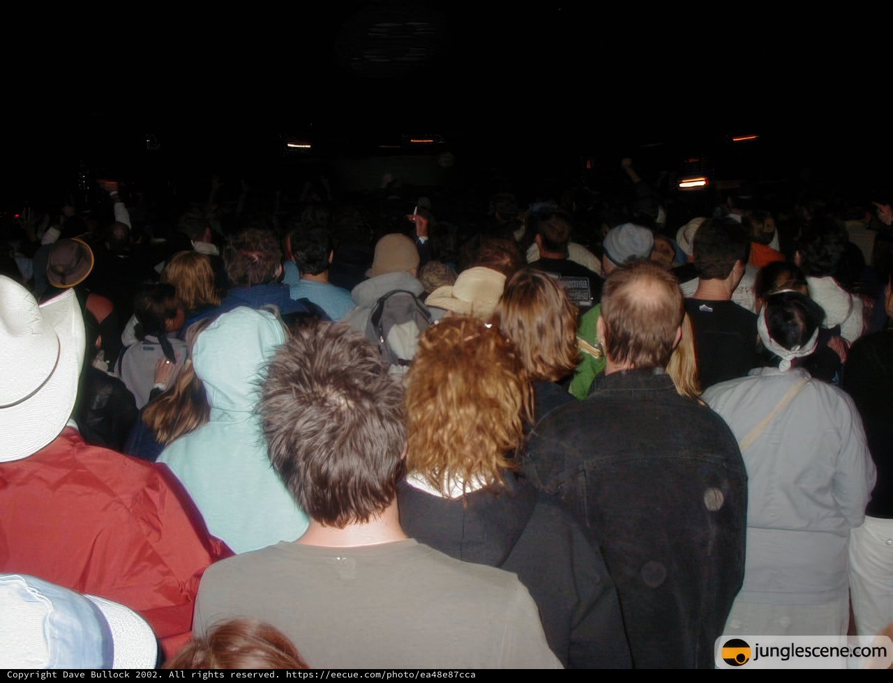 Nighttime Crowd Gathering