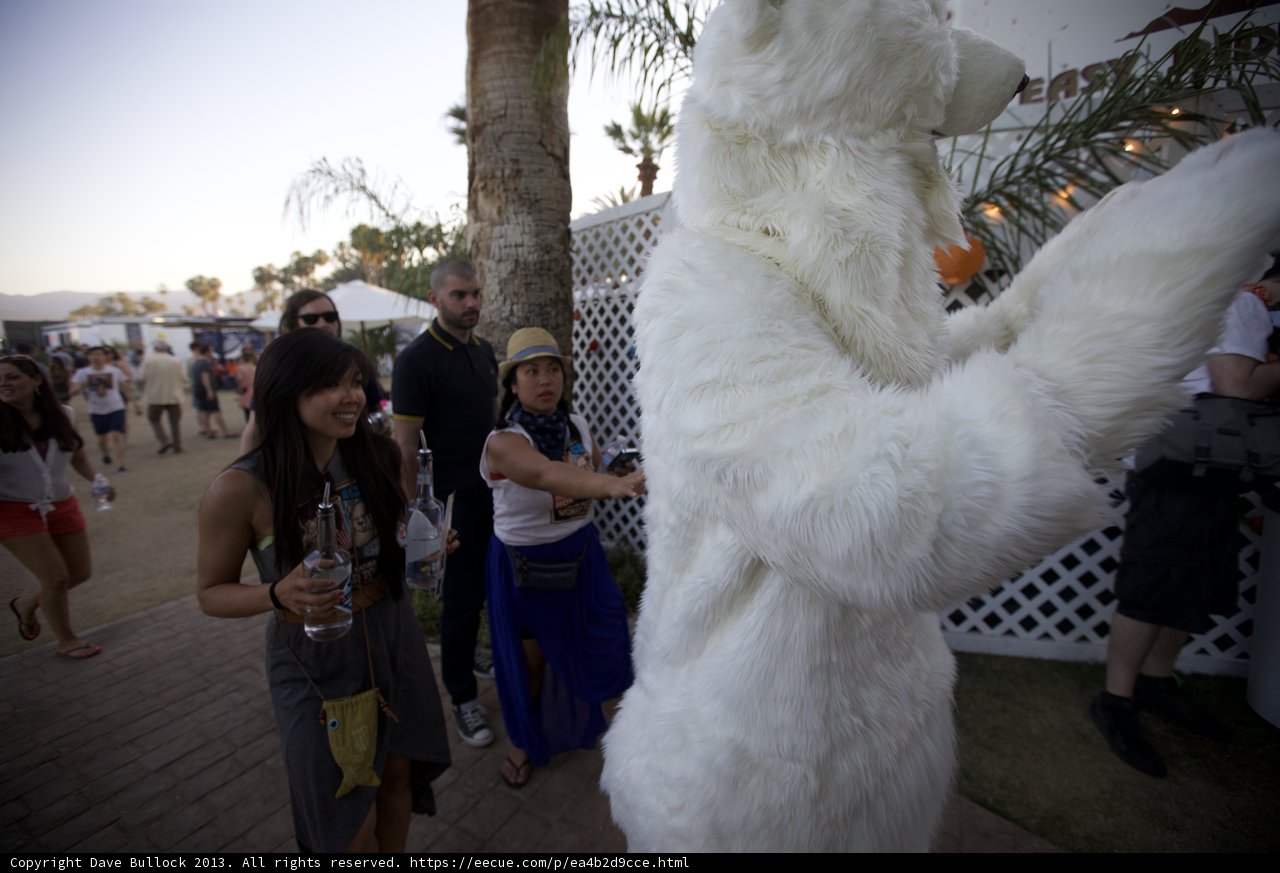 Bear-y Beautiful
