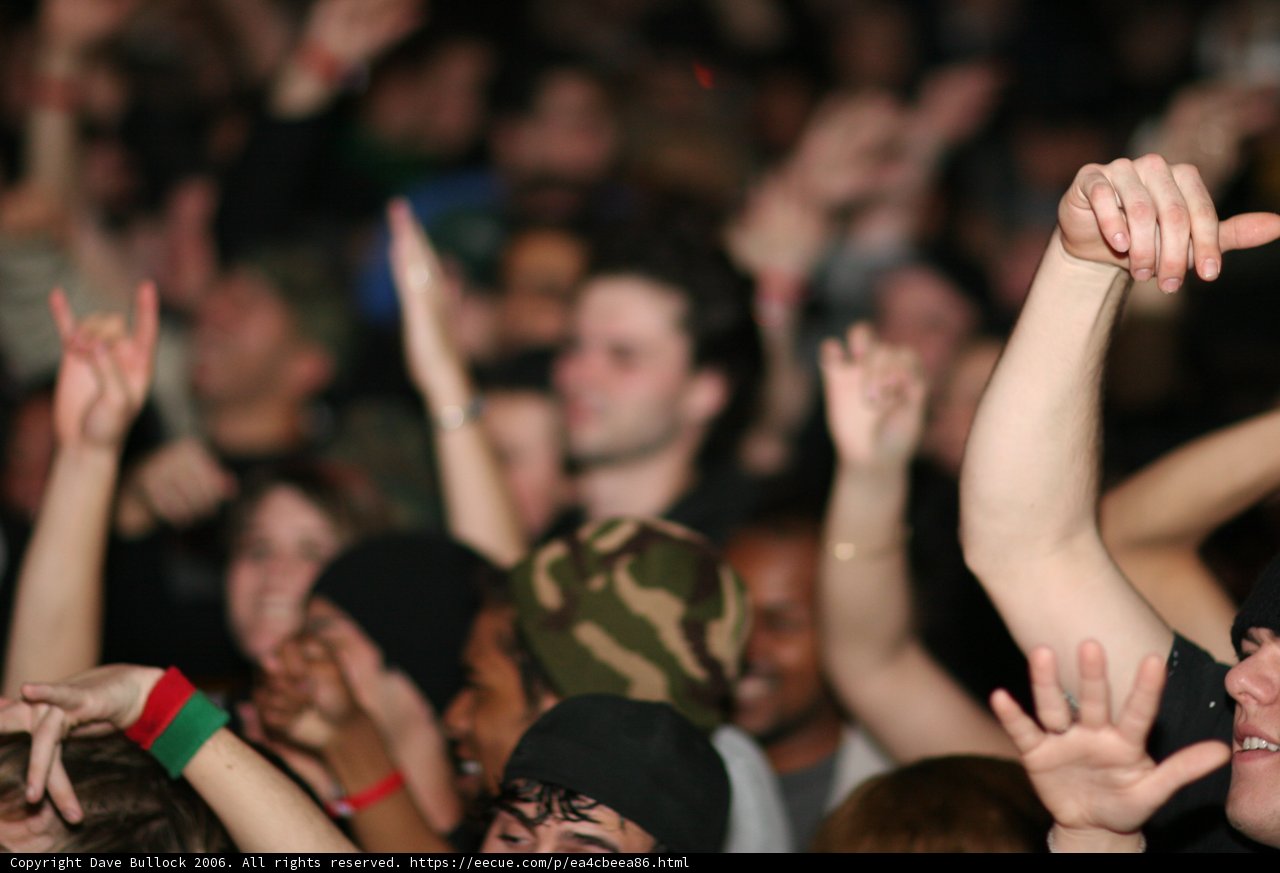 Concert Chaos