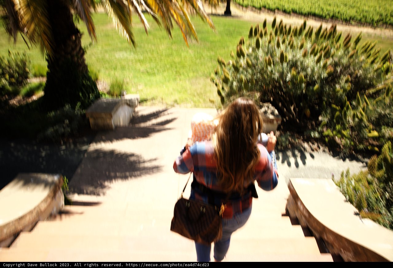 Serene Stroll in Nature