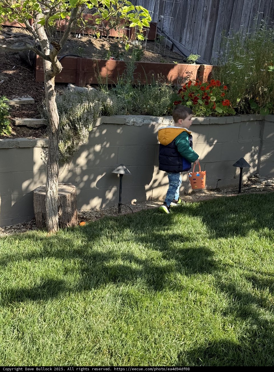 Springtime Discoveries