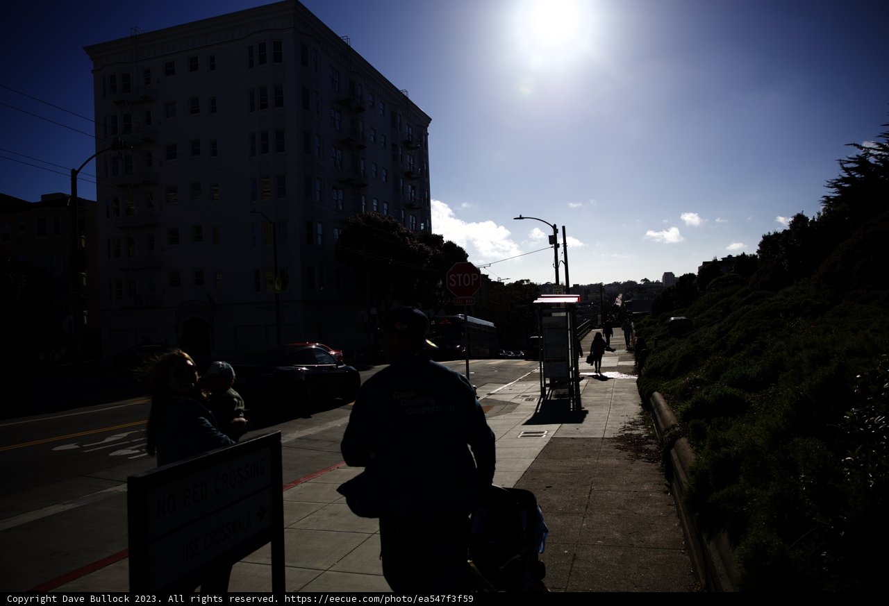 Strolling Through Alamo Square