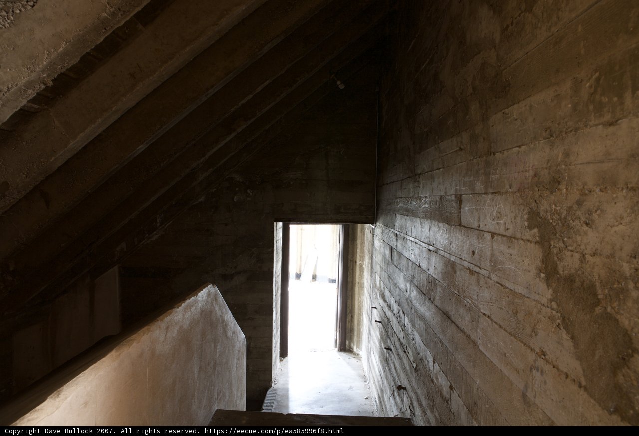 Ascending Into the Light