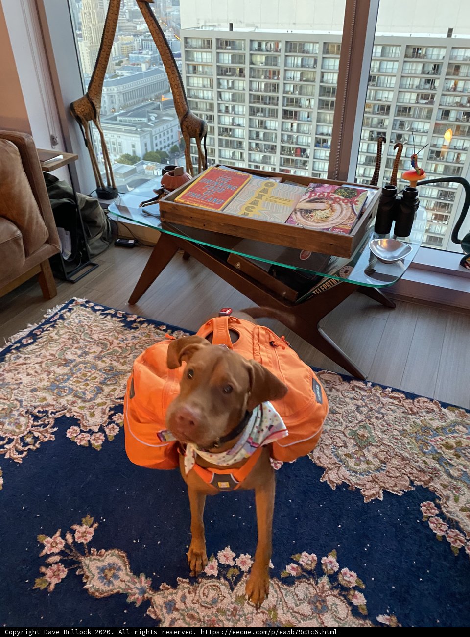Backpack Buddies