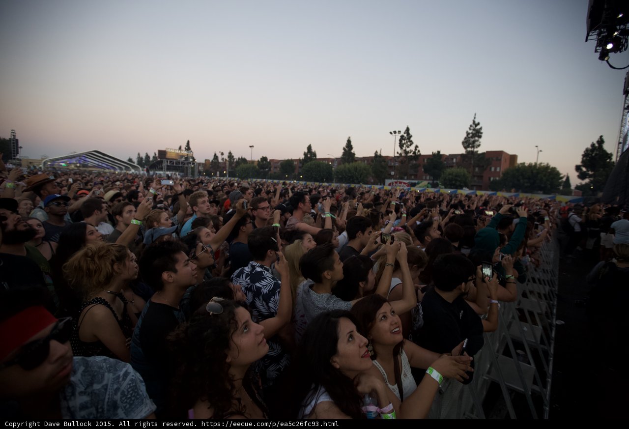 Festival Crowd Phones Up