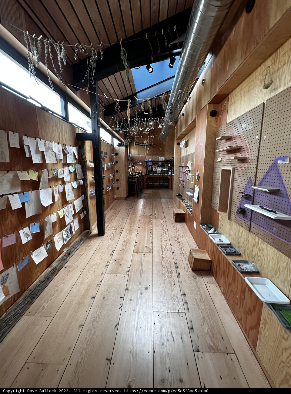 The Paper-Filled Workshop