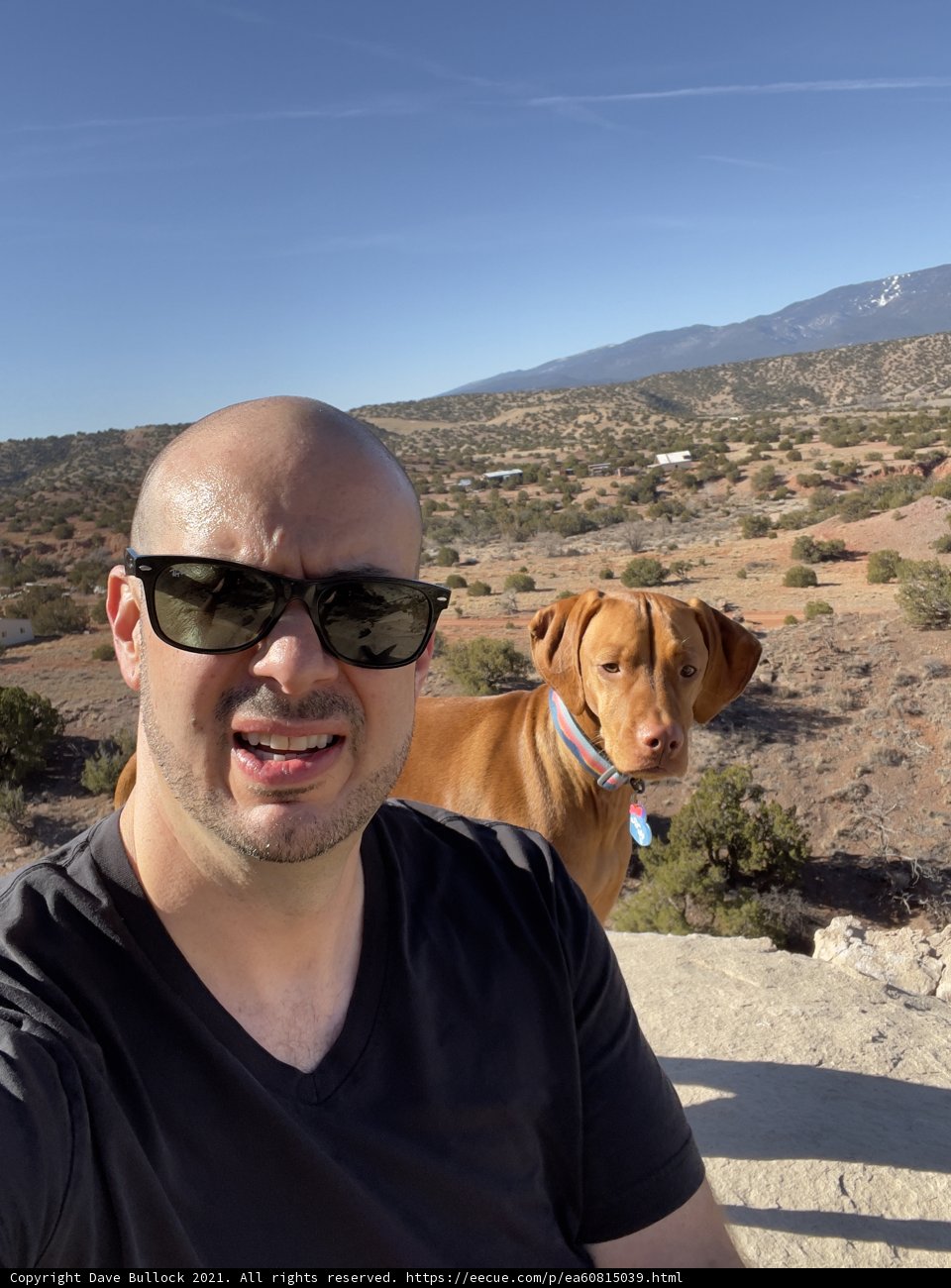 Man and His Furry Friend Take in the Mountain Views