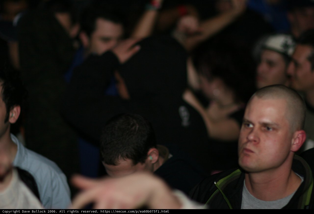 Nightclub Crowd
