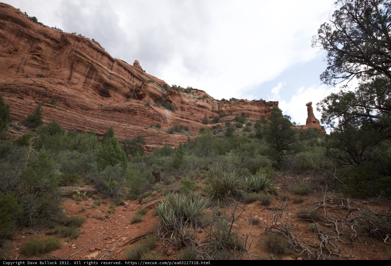 Majesty of the Red Rocks