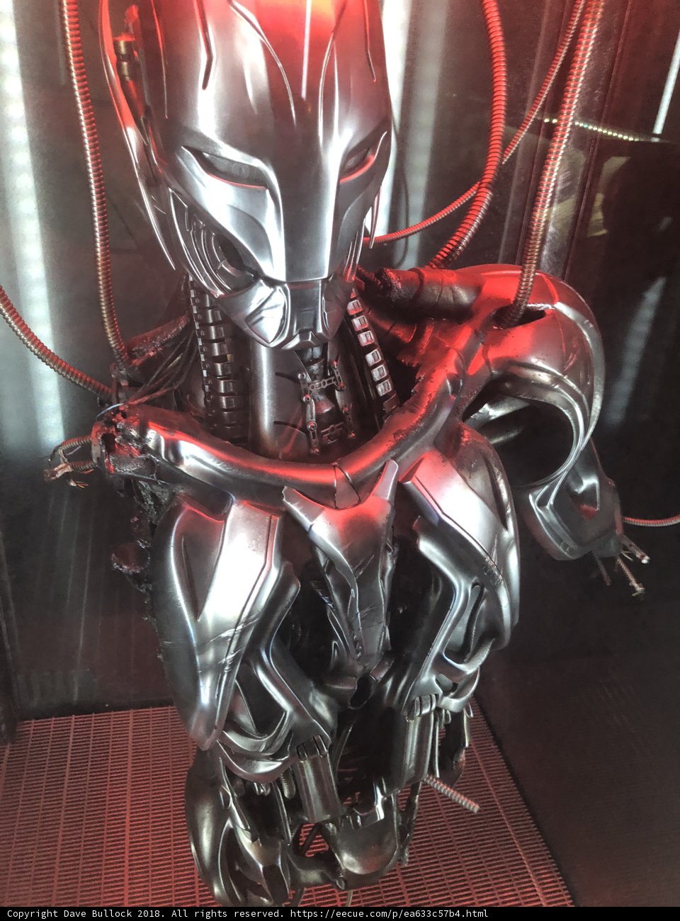 The Robotic Enigma