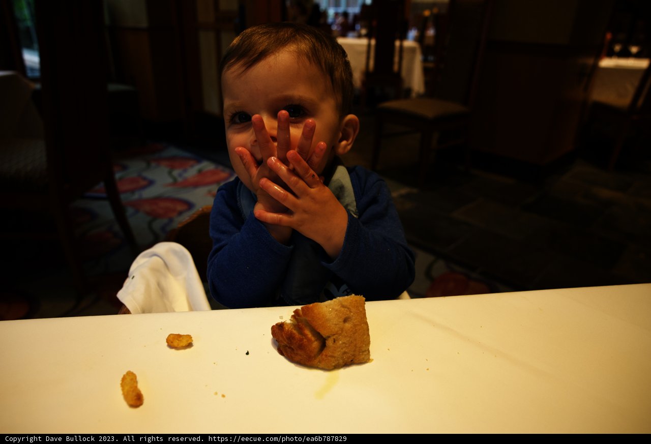 Magical Moments in Disneyland Dining